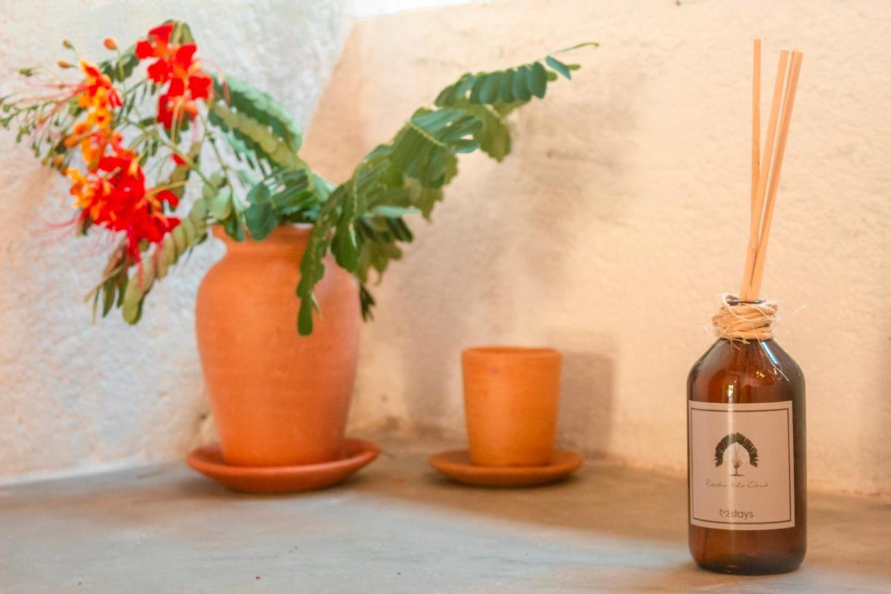 Pousada Rancho Luar Pôrto de Pedras 외부 사진